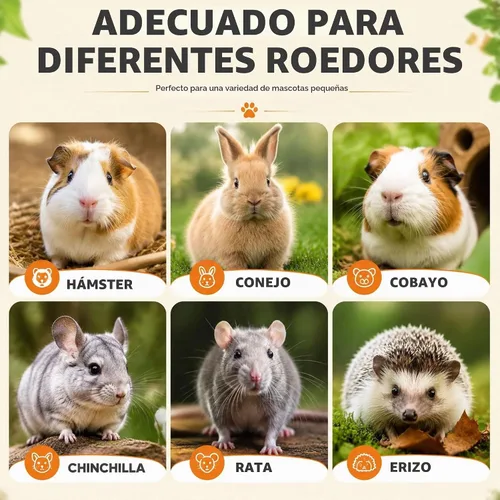 Vista 6 de Heno de alfalfa 100% natural, 36 piezas, galletas molares de hierba en forma de corazón, aperitivos diarios saludables sin aditivos para conejos