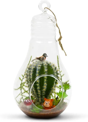 Vista 6 de WGV - Terrario de cristal colgante para plantas, ancho 3.5 pulgadas, altura 7 pulgadas, bombilla de aire para suculentas, lámpara de té