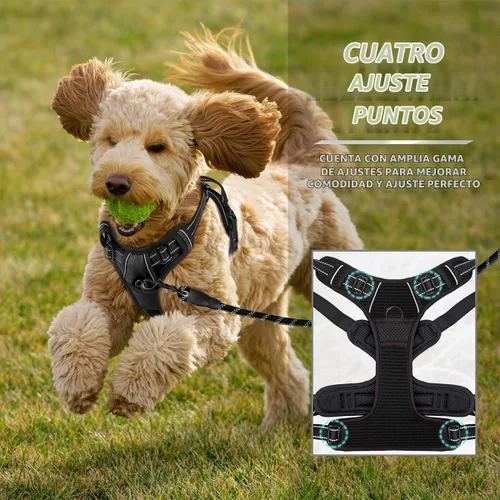 Vista 6 de BARKBAY Arnés sin tirones para perro, clip frontal, resistente, reflectante, mango de fácil control para pasear perros grandes (negro, XS)