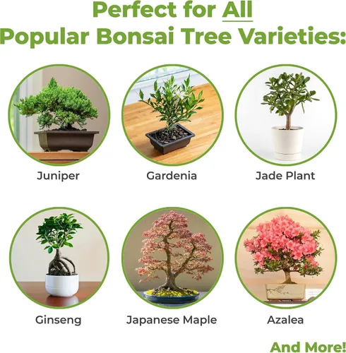 Vista 3 de Tierra para bonsái de Perfect Plants - 2qts. Mezcla premium multiusos para variedades de árboles bonsái