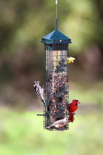 Vista 8 de Brome 2004 Squirrel Solution200 (5.5 x 5.5 x 30 pulgadas) Comedero para pájaros antiardillas con 6 puertos de alimentación, 2 qt/3.4 lb de capacidad