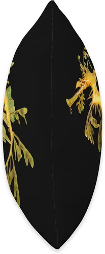 Vista 2 de Leafy Sea Dragon Seadragon - Cojín de 15.7 x 15.7 in, diseño de dragón marino