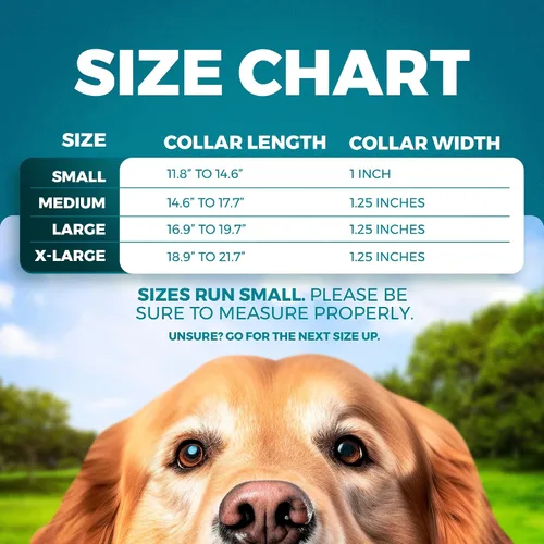 Vista 4 de BLAZIN Collar reflectante para perro con diseño de cierre de junta tórica para perros sensibles, acolchado de neopreno suave, collares para perros O