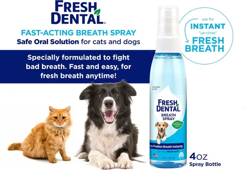 Vista 2 de Spray dental fresco para el aliento del perro, ambientador rápido y solución de limpieza de dientes, cuidado dental sin esfuerzo, fabricado