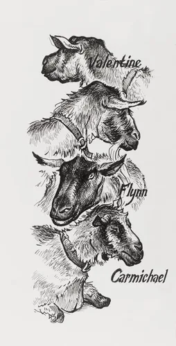 Vista 5 de caja de bolígrafos con líneas de 4 anchuras en negro, de Faber Castell, para la pigmentación de dibujos con tinta china, de Pitt Tinta de dibujo