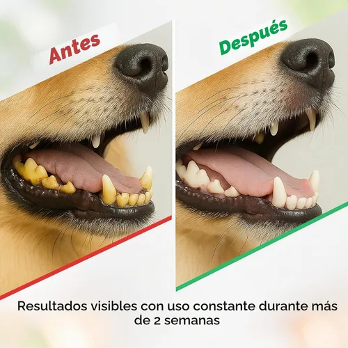 Vista 7 de Polvo de limpieza de dientes de perro, ambientador de aliento de perro + cuidado dental para perros y gatos + removedor de sarro para dientes
