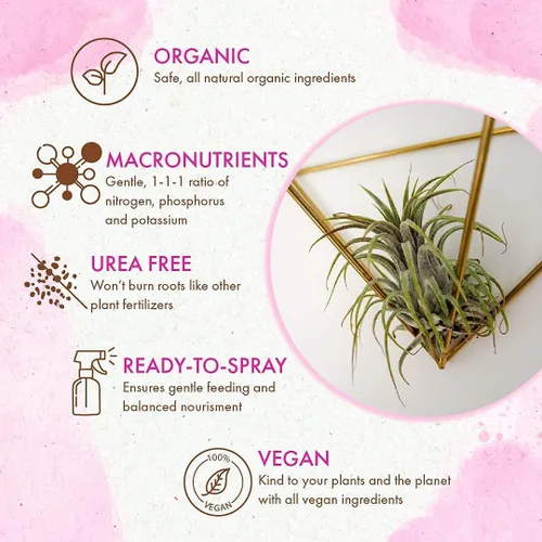 Vista 3 de Alimento orgánico listo para rociar para plantas de aire - Niebla fertilizante para uso semanal - Mejor para Tillandsia viva, bromelias y otras