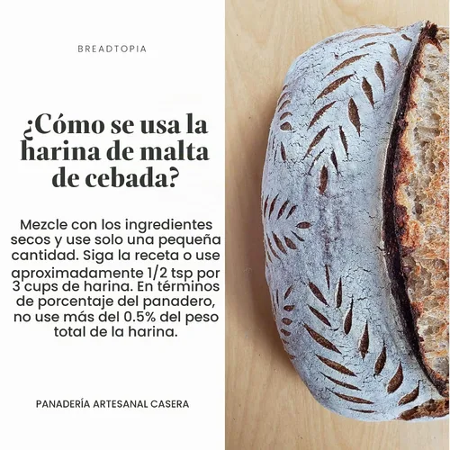 Vista 5 de breadtopia diastatic Cebada En Polvo – Orgánica