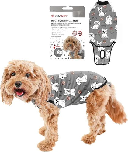 Vista 18 de Traje de Recuperación Quirúrgica BellyGuard para Perros, Mameluco para Perros para Cuidado Post-Operatorio, Ropa de Recuperación para Perros Hembra
