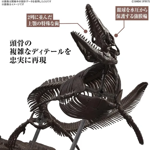 Vista 3 de Bandai Hobby Mosasaurus Imaginary Skeleton 1/32 Dinosaur Model Kit