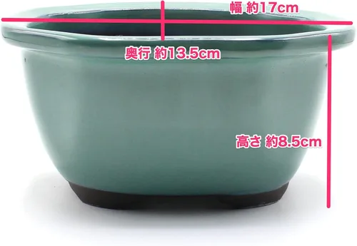 Vista 4 de Olla para bonsái Seto-Yaki Mokko (membrillo) en forma de Oribe-Yu esmaltado (6.9 ")