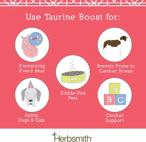 Vista 5 de Herbsmith Taurine Boost - Soporte cardíaco y cardíaco para perros y gatos - Suplemento de taurina para la salud cardíaca de perros y gatos