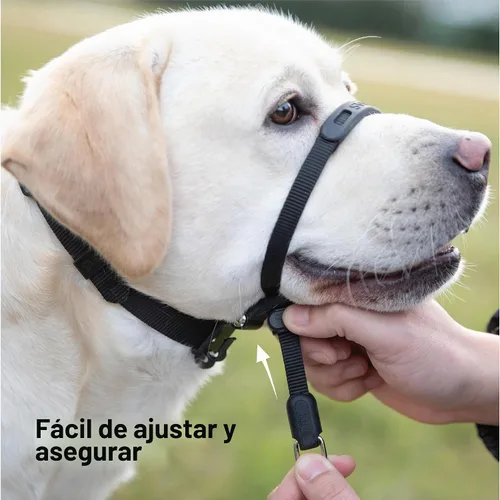 Vista 3 de SVD.PET Collar de cabeza de perro sin tirones para paseos más fáciles, protector a prueba de mordeduras para aumentar la comodidad, diseño simple