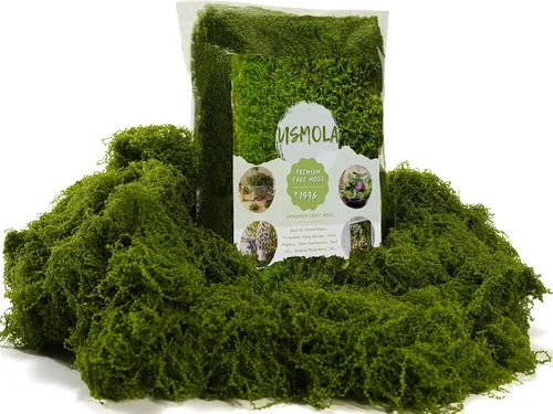 Vista 10 de USMOLA Musgo falso de 3.5 onzas para plantas de interior, musgo artificial para centros de mesa, jardines de hadas, terrarios, césped sintético