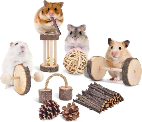 Vista 6 de ERKOON Paquete de 11 juguetes masticables de chinchillas, accesorios para el cuidado de los dientes, rodillo de escalera de madera de manzana