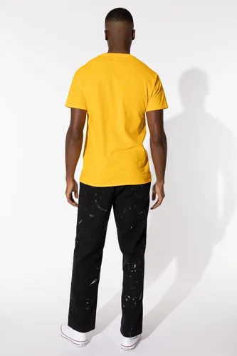 Vista 2 de Collegiate Distressed Mascot Unisex Adult T Shirt Collection 3 Universidad de Adelphi
