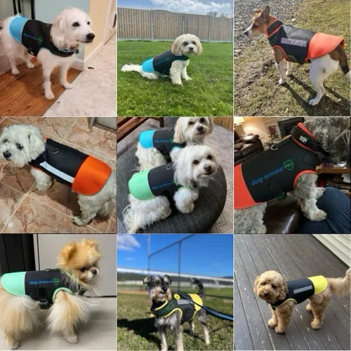Vista 6 de Arnés Protector para Perros – Chaleco para Perros – Protege a Tu Mascota de Ataques de Raptores y Animales – Ajustable, Sin Estrangulación, Verde