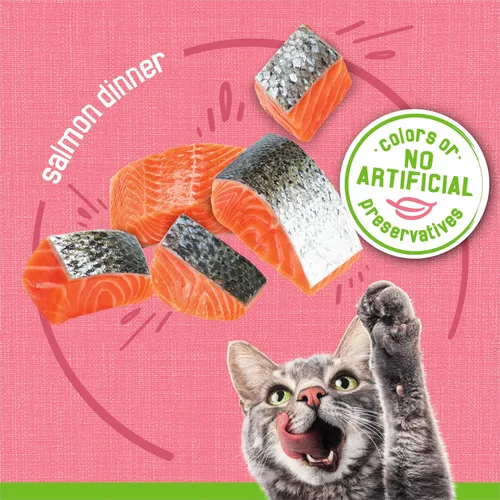 Vista 5 de Purina Friskies - Paté de comida húmeda para gatos, cena de salmón en paté (paquete de 24) latas de 5.5 onzas