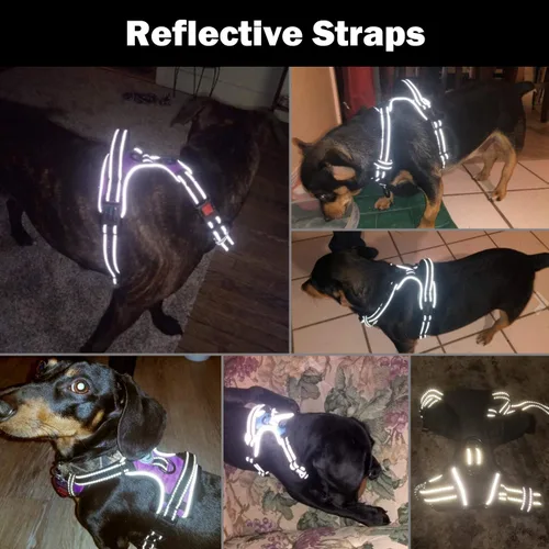 Vista 5 de PHOEPET Arnés para perro sin tirones, chaleco reflectante ajustable con asa de entrenamiento, bolsillo para identificación con nombre, 2 ganchos