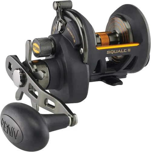 Vista 5 de PENN Squall II Star Drag - Carrete de pesca convencional