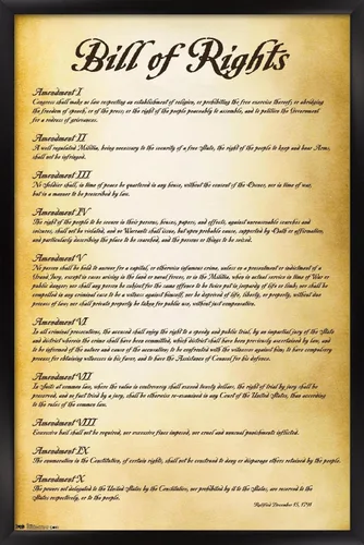Vista 8 de Trends International The United States of America - Póster de pared de Carta de Derechos, 14.725 x 22.375 pulgadas, versión enmarcada de madera