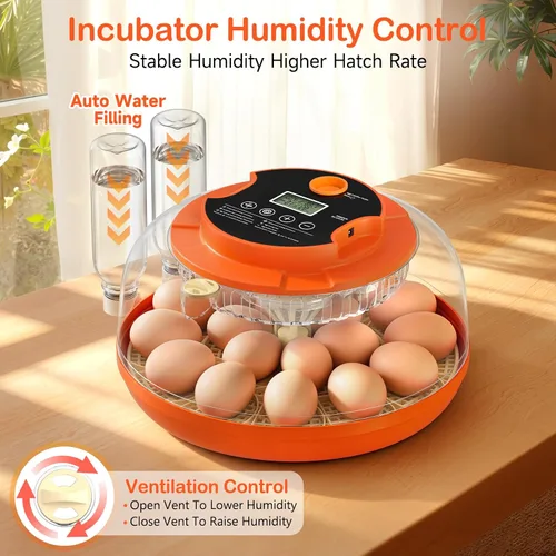 Vista 6 de 18 incubadoras de huevos para incubar huevos, incubadora automática de giro de huevos y control de humedad para eclosionar pollo, pato, codorniz
