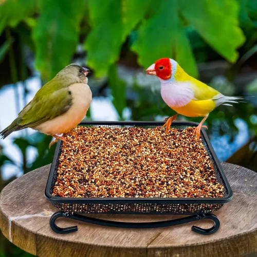 Vista 2 de MIXXIDEA Bandeja de comedero para pájaros de tierra, bandeja de malla de malla de metal para comederos de pájaros, gran decoración atractiva