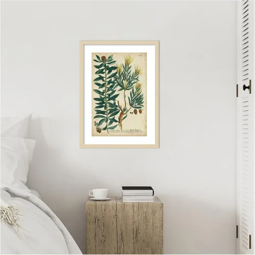 Vista 8 de Amanti Art Lienzo decorativo enmarcado para pared, 25 x 19 pulgadas, follaje y fruta de Weinmann n.º 4 por Johann Wilhem Weinmann, arte de pared