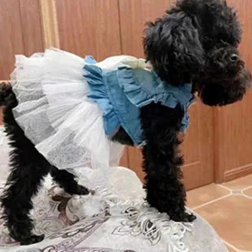 Vista 58 de ANIAC Daisy Vestidos para Perros Pequeños Hembra con Anillo para Correa, Nudo de Lazo Vestido de Boda para Cachorra, Traje de Gato de San Valentín