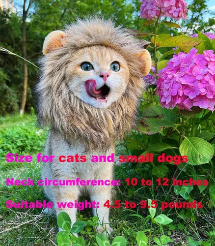 Vista 7 de Peluca para disfraz de gatos y perros Lion Mane, ajustable, lavable y cómoda, ropa de perro para Halloween, Navidad o Pascua , m, Gris