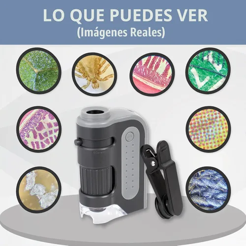 Vista 3 de Microscopio de bolsillo Carson MicroBrite Plus 60x 120x con iluminación de energía LED (MM-300). Portable Handheld Microscope STEM Toy - Mini