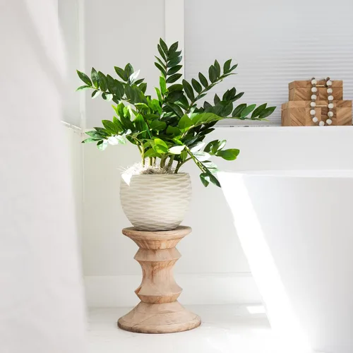 Vista 3 de Nearly Natural - Planta artificial ZZ de 28 pulgadas, planta Zamioculcas con maceta decorativa