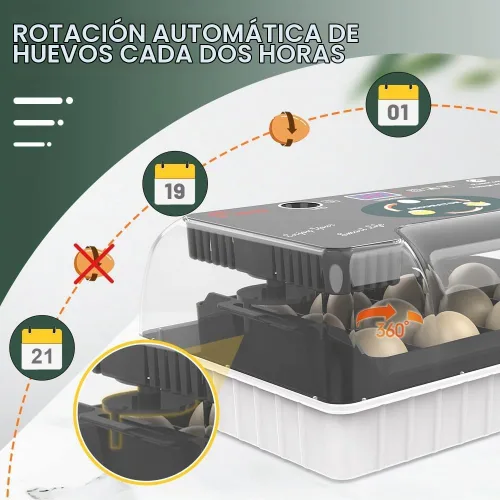 Vista 3 de Incubadora de 12 huevos, girador automático de huevos, control de temperatura, vela incorporada, recarga automática de agua para incubar huevos