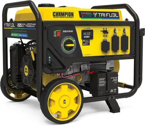 Vista 20 de Champion - Generador portátil de 16,875 vatios de arranque eléctrico