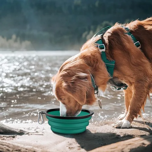 Vista 23 de COOYOO Cuenco plegable para perros, paquete de 2 cuencos plegables para agua para perros y gatos, plato portátil para alimentación de mascotas