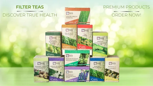 Vista 6 de Filtro de limoncillo Té Hierba Luisa Value Pack (60 bolsas de té)