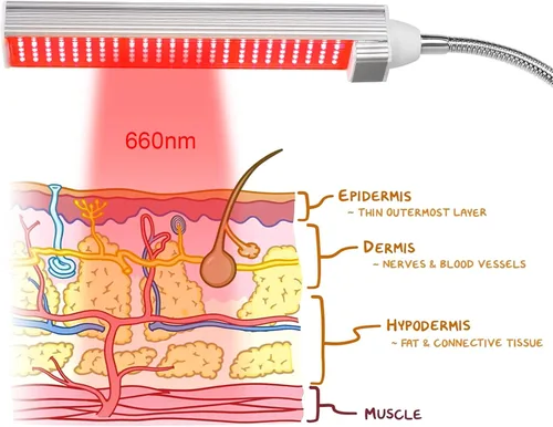 Vista 4 de Lámpara de terapia de luz roja con temporizador, 660nm LED - M7666
