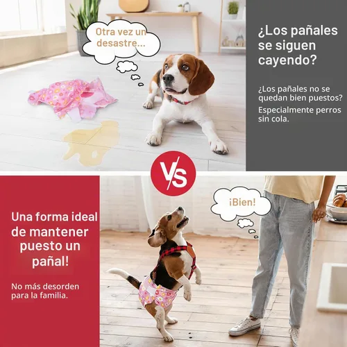 Vista 3 de Pet Soft Tirantes de pañales para perro hembra, 2 piezas, tirantes para falda de perro, vestido, Negro, rosa, marrón, burdeos