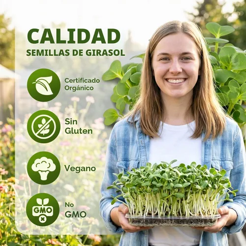 Vista 2 de Nature Jims - Semillas de girasol orgánicas para brotar, sin OMG, semillas microverdes de girasol de primera calidad, brotes nutritivos, de rápido