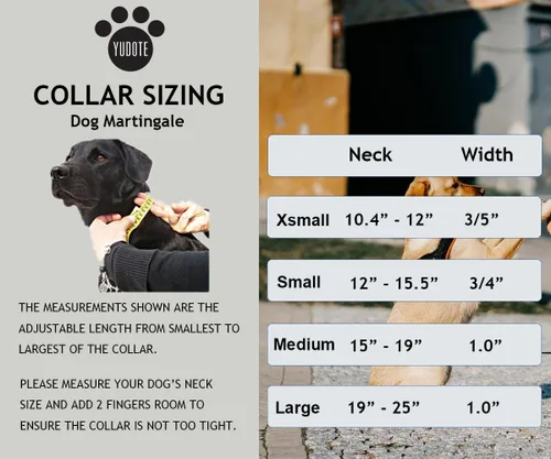 Vista 7 de Martingale - Collares para perros con hebilla a presión rápida, ajustable, patrón de flamenco, collares de entrenamiento sin tirones, para perros