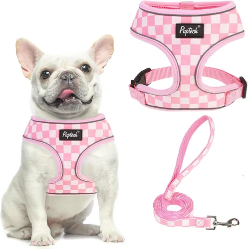 Vista 29 de PUPTECK Juego de arnés y correa de malla suave para perro, cachorro y gato, cómodo chaleco acolchado sin tirones, azul Pascua, S