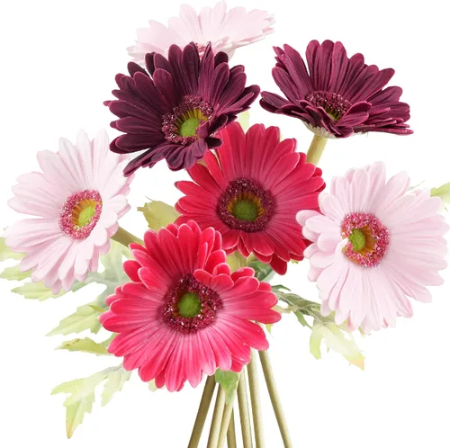 Vista 7 de FiveSeasonStuff Real Touch Gerbera Daisy - Arreglo de flores artificiales y ramo de boda (7 tallos florales, rojo baya)