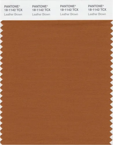 Vista 6 de PANTONE Tarjeta de muestra de color inteligente 18-1314X, bellota