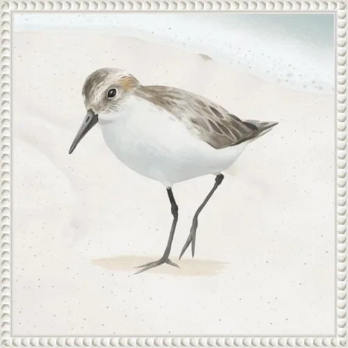 Vista 14 de Amanti Art Framed Canvas Wall Art 16x16 Sandpiper on the Beach II by Lucca Sheppard, Framed Wall Art Canvas, Animals Artwork, Modern Decor, Small