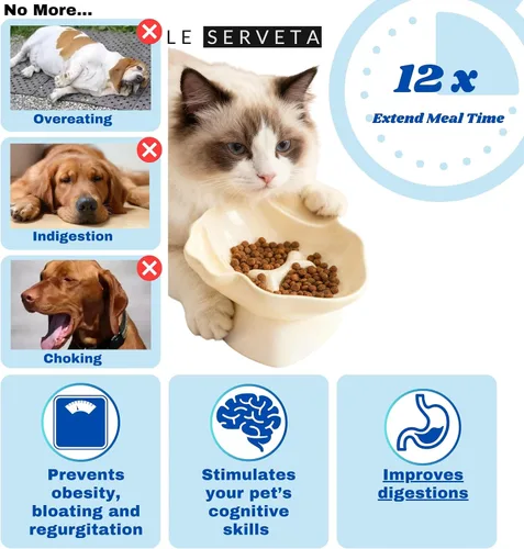 Vista 3 de Cuenco elevado de cerámica para mascotas, comedero lento elevado para gatos y perros, diseño decorativo para perritos de pie, base antideslizante