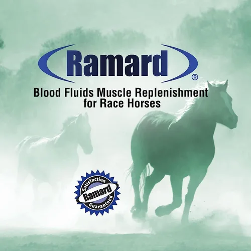 Vista 5 de Reposición muscular de líquidos sanguíneos para caballos de carrera, suplementos para caballos con electrolitos, constructor de sangre y constructor