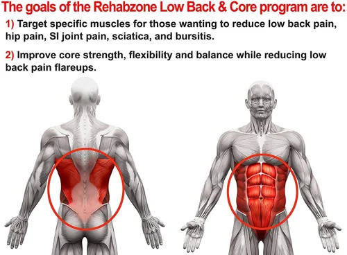 Vista 3 de Lower Back and Core Exercise Plan: programa de ejercicios para hacer en casa para el dolor de espalda baja, respaldo médico.