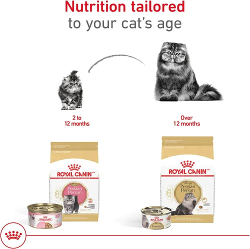 Vista 6 de Comida seca para gatitos persas de Royal Canin Nutrición para razas felinas, bolsa de 3 libras