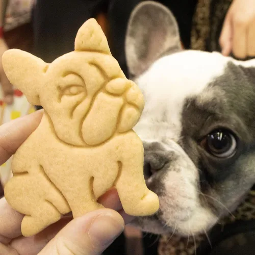 Vista 3 de Cortador de galletas Bulldog Francés, 1 pieza - Bakerlogy