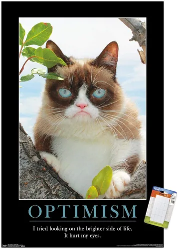 Vista 19 de Trends International Grumpy Cat - El Lado Más Brillante Póster de Pared, 14.725 x 22.375 pulgadas, Versión Enmarcada de Madera de Granero